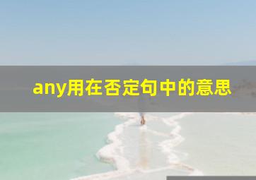 any用在否定句中的意思