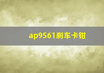 ap9561刹车卡钳