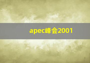 apec峰会2001