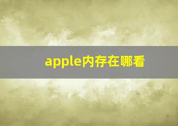 apple内存在哪看