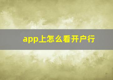 app上怎么看开户行