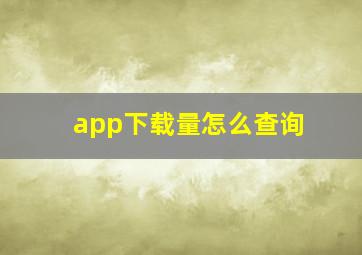 app下载量怎么查询