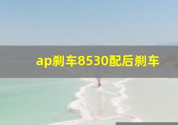 ap刹车8530配后刹车