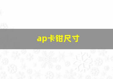 ap卡钳尺寸