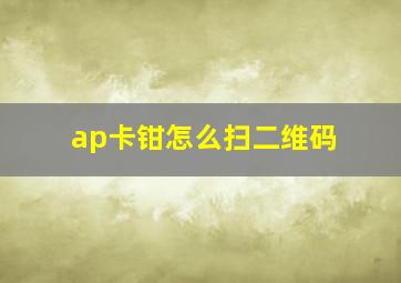 ap卡钳怎么扫二维码