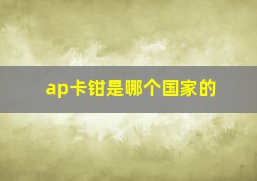 ap卡钳是哪个国家的