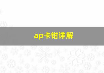 ap卡钳详解