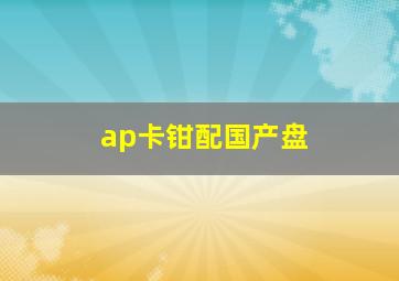 ap卡钳配国产盘