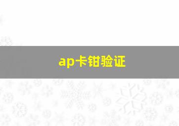 ap卡钳验证