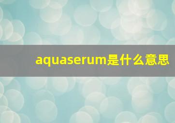 aquaserum是什么意思