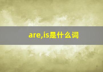 are,is是什么词