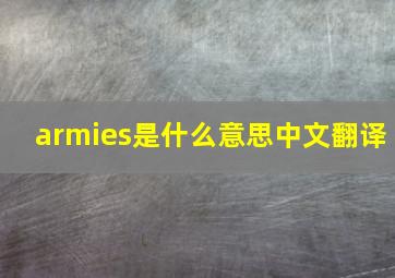 armies是什么意思中文翻译