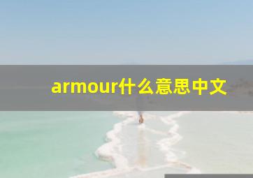 armour什么意思中文