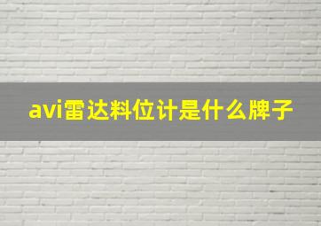 avi雷达料位计是什么牌子