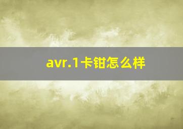 avr.1卡钳怎么样