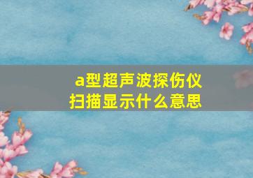 a型超声波探伤仪扫描显示什么意思