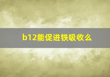 b12能促进铁吸收么