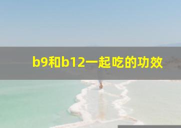 b9和b12一起吃的功效