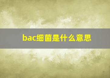 bac细菌是什么意思