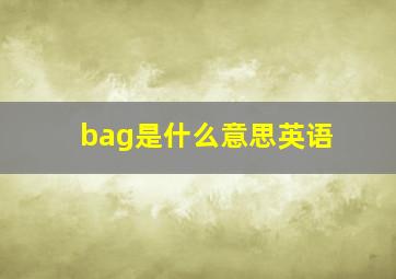 bag是什么意思英语