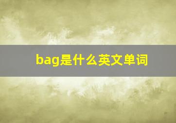 bag是什么英文单词