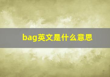 bag英文是什么意思