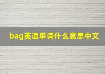 bag英语单词什么意思中文