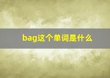 bag这个单词是什么