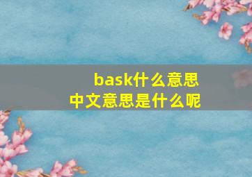 bask什么意思中文意思是什么呢