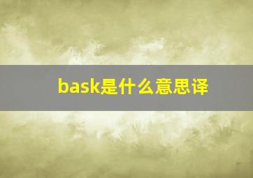 bask是什么意思译