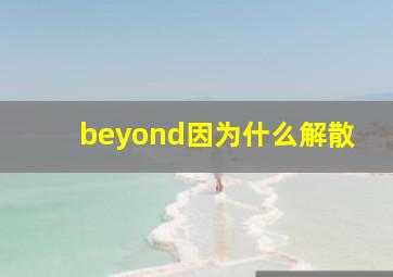 beyond因为什么解散