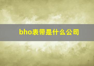 bho表带是什么公司