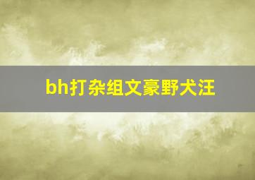 bh打杂组文豪野犬汪