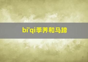 bi'qi荸荠和马蹄