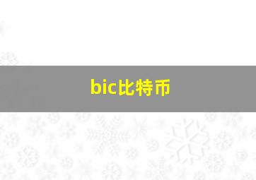 bic比特币