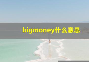 bigmoney什么意思