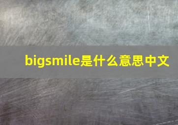 bigsmile是什么意思中文