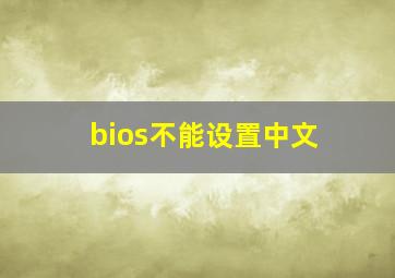 bios不能设置中文