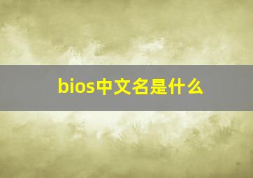 bios中文名是什么