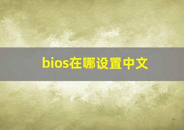 bios在哪设置中文