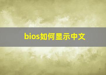 bios如何显示中文