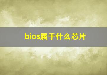 bios属于什么芯片