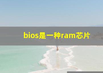 bios是一种ram芯片