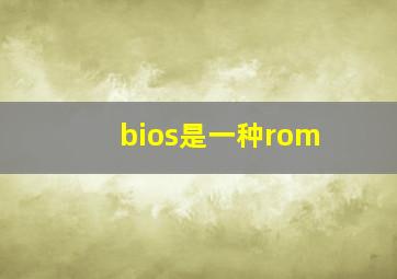 bios是一种rom