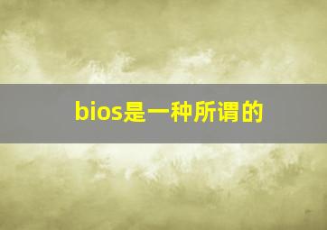 bios是一种所谓的