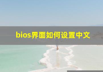 bios界面如何设置中文