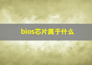 bios芯片属于什么