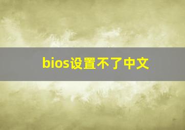 bios设置不了中文