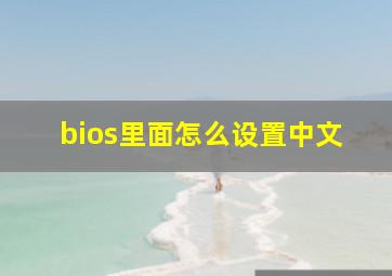 bios里面怎么设置中文