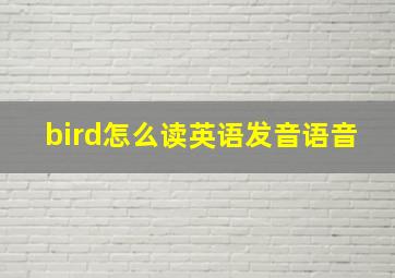 bird怎么读英语发音语音